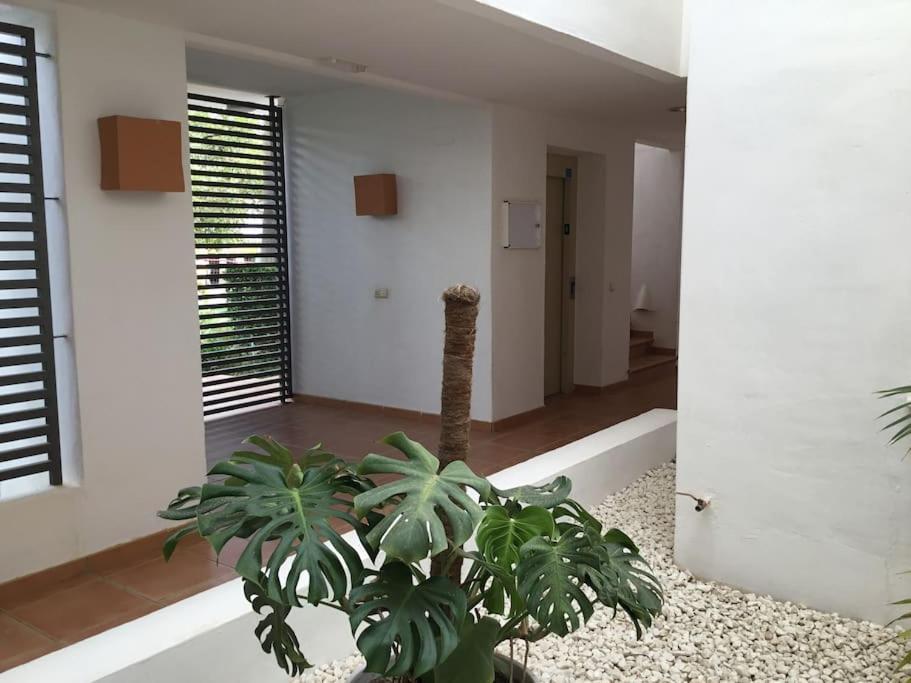 Alcazaba Blue Lagoon 3 Bedroom, Ground Floor Apartment Estepona Eksteriør bilde